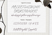 Modern Sounds Handdrawn Script, a Script Font by Balpirick Studio (Thumbnail 6 of 6)