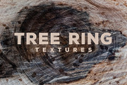 14 Tree & Wood Ring Textures, a Nature Photo by WeGraphics (Thumbnail 3 of 6)