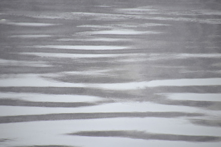 Winter water surface of the Middle Nevka river. Cold water surface texture., a Nature Photo by Textures & Backgrounds