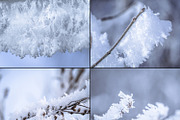 Frozen morning bundle /77pics, a Background Graphic by tydla (Thumbnail 4 of 12)
