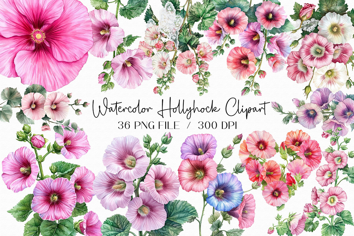 Watercolor Hollyhock Clipart, an Illustration by Libby Wishes (Photo 1 of 12)