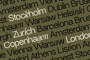 Dessign Maison - Hybrid Display Font, a Serif Font by SilverStag Type Foundry (Thumbnail 17 of 18)
