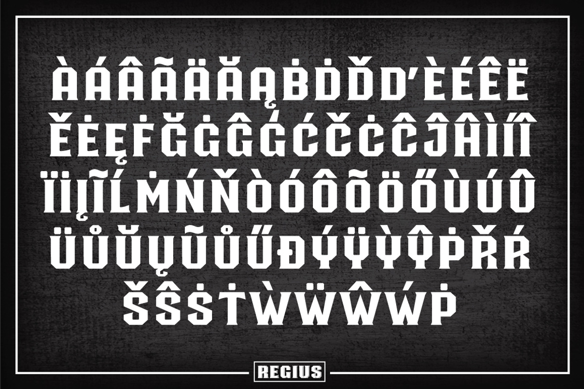 Regius Typeface, a Serif Font by Jan-Christian Bruun (Photo 11 of 12)