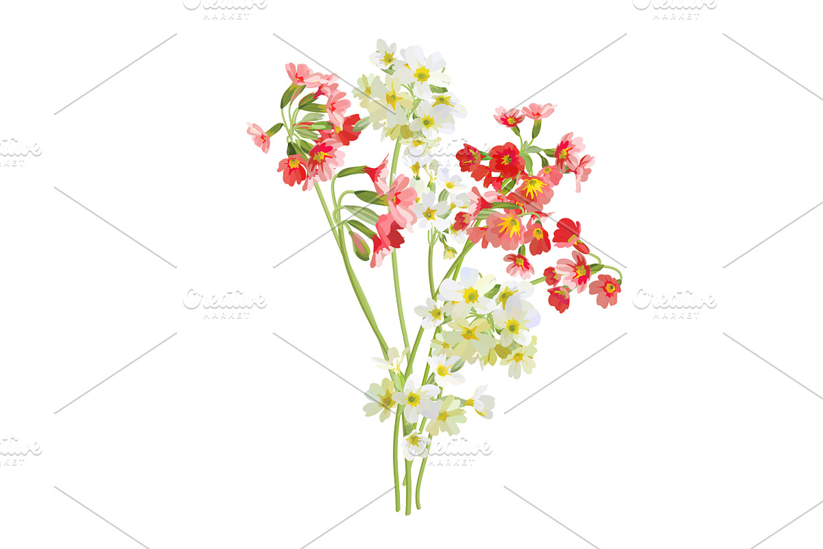 Vector object brushes. Primula., a Brush Add-On by Peolla (Photo 13 of 17)