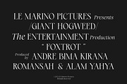 Le Marino Elegant Display Serif, a Serif Font by Letteralle Studios (Thumbnail 2 of 10)