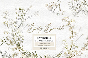 Gypsophila clipart, Baby Breath PNG, a Decorative Illustration by Invite to Clipart