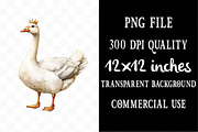 Watercolor Rustic Goose Clipart, an Illustration by Designking (Thumbnail 4 of 5)