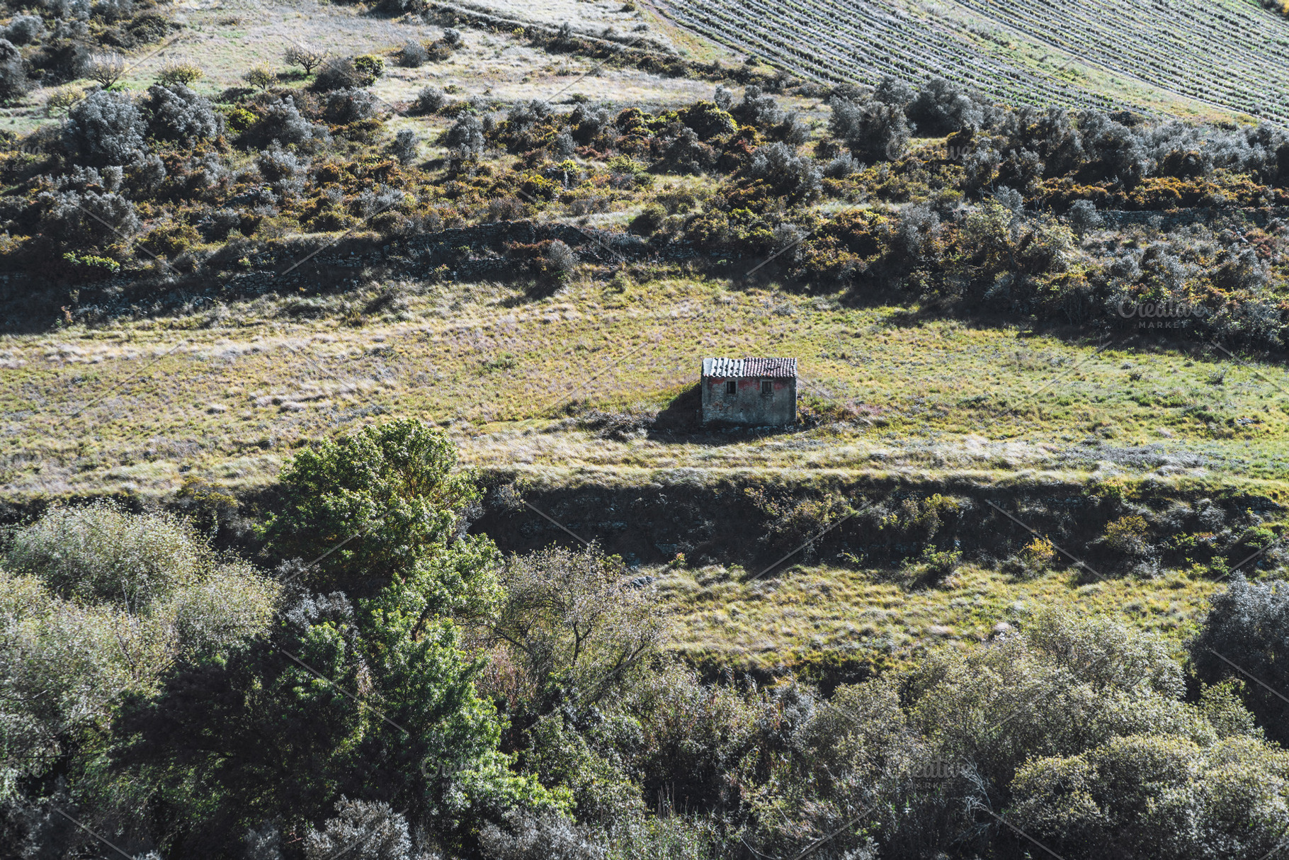 Remote hut in terraced hills, an Architecture Photo by SkyNext