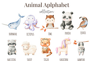 Animal Alphabet - Watercolor Set