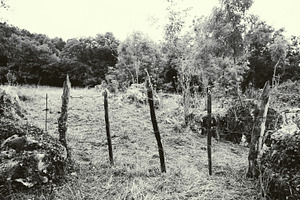 Rustic fence in black and white, a Nature Photo by SkyNext