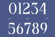 CS Deron – Modern Serif Font, a Serif Font by Craft Supply Co. (Thumbnail 6 of 8)