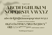 Reindan - Beautiful Bold Serif, a Font by Novitype (Thumbnail 14 of 14)