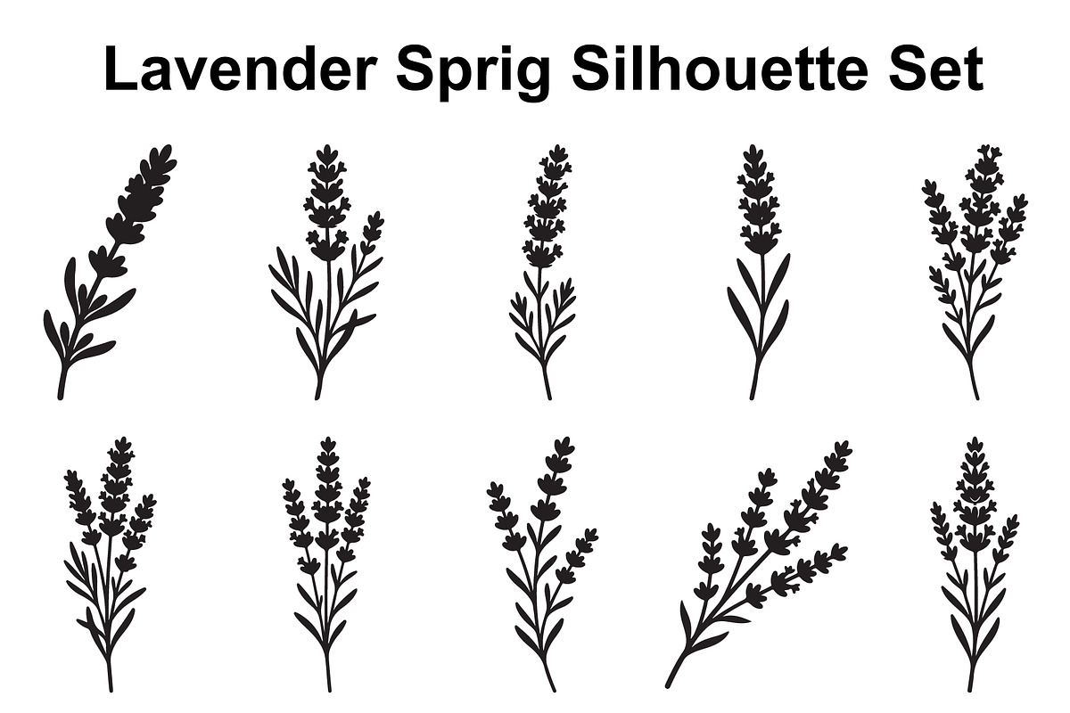 Lavender Botanical Silhouette Set, an Object Graphic by Designs_River (Photo 1 of 3)