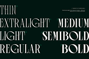 TRT Pachel Luxury Editorial Serif, a Serif Font by truetype (Thumbnail 2 of 15)
