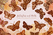 Watercolor Butterflies and Moths, an Object Graphic by Tiger and Flower (Thumbnail 1 of 17)