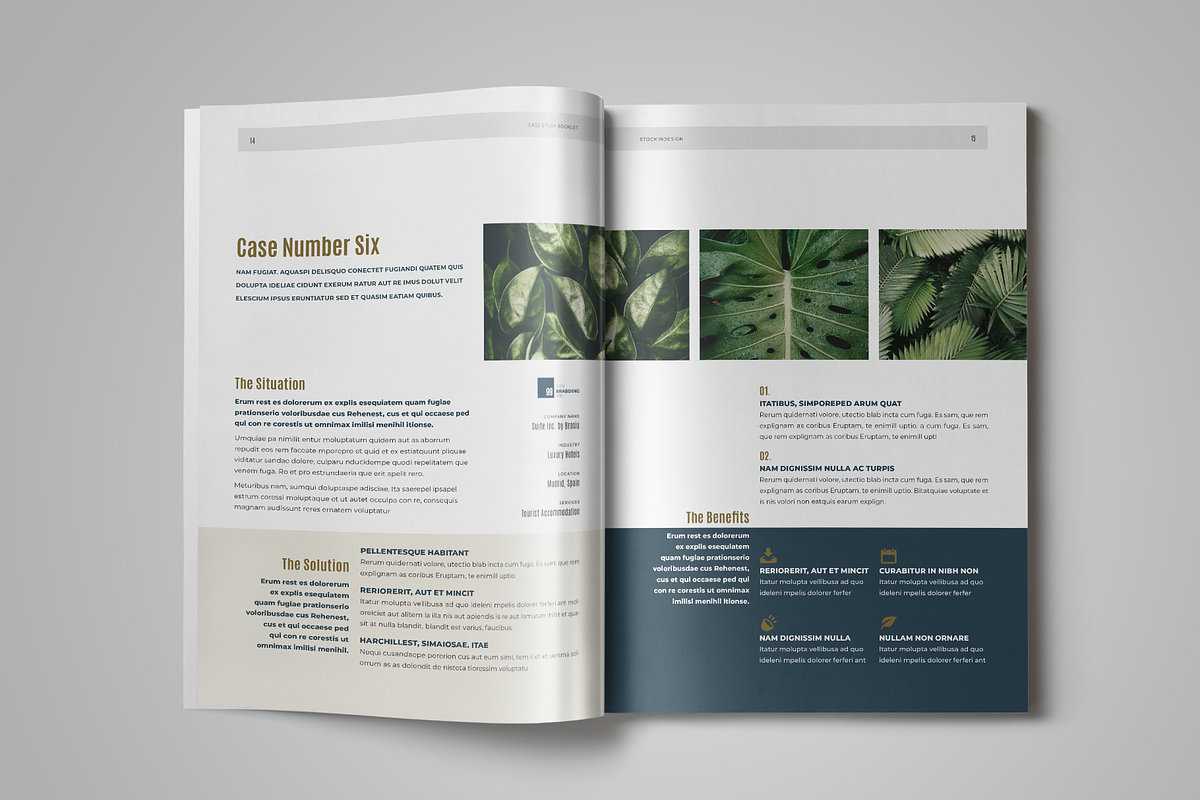Case Study, a Templates & Theme by StockInDesign (Photo 6 of 8)