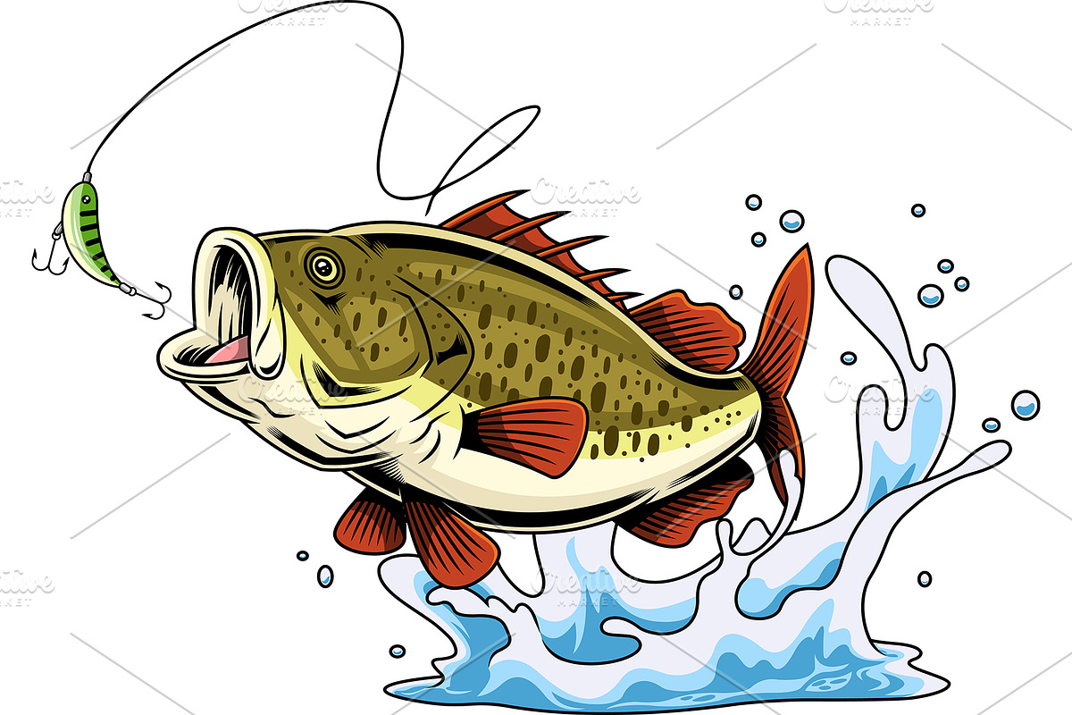 Red Fin Bass Fish Cartoon Character, an Illustration by HitToon