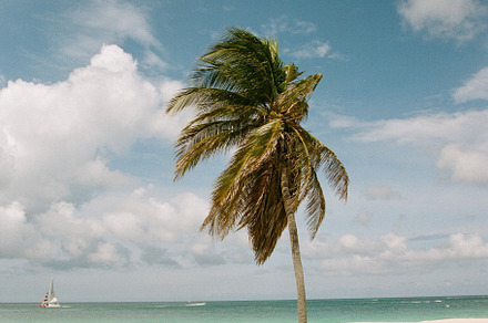 35mmFilm Stock Photo Caribbean Beach