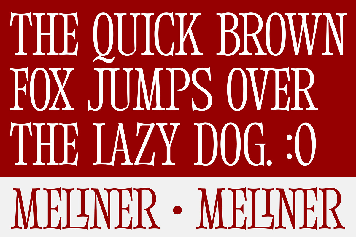 Meliner, a Serif Font by Dora Typefoundry (Photo 6 of 12)