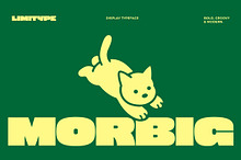 Morbig - Bold Display Font