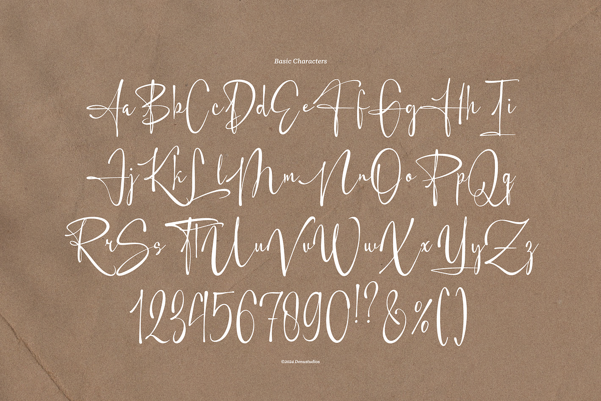 Harfey Lim Classic Signature Script, a Script Font by Denustudios (Photo 11 of 13)