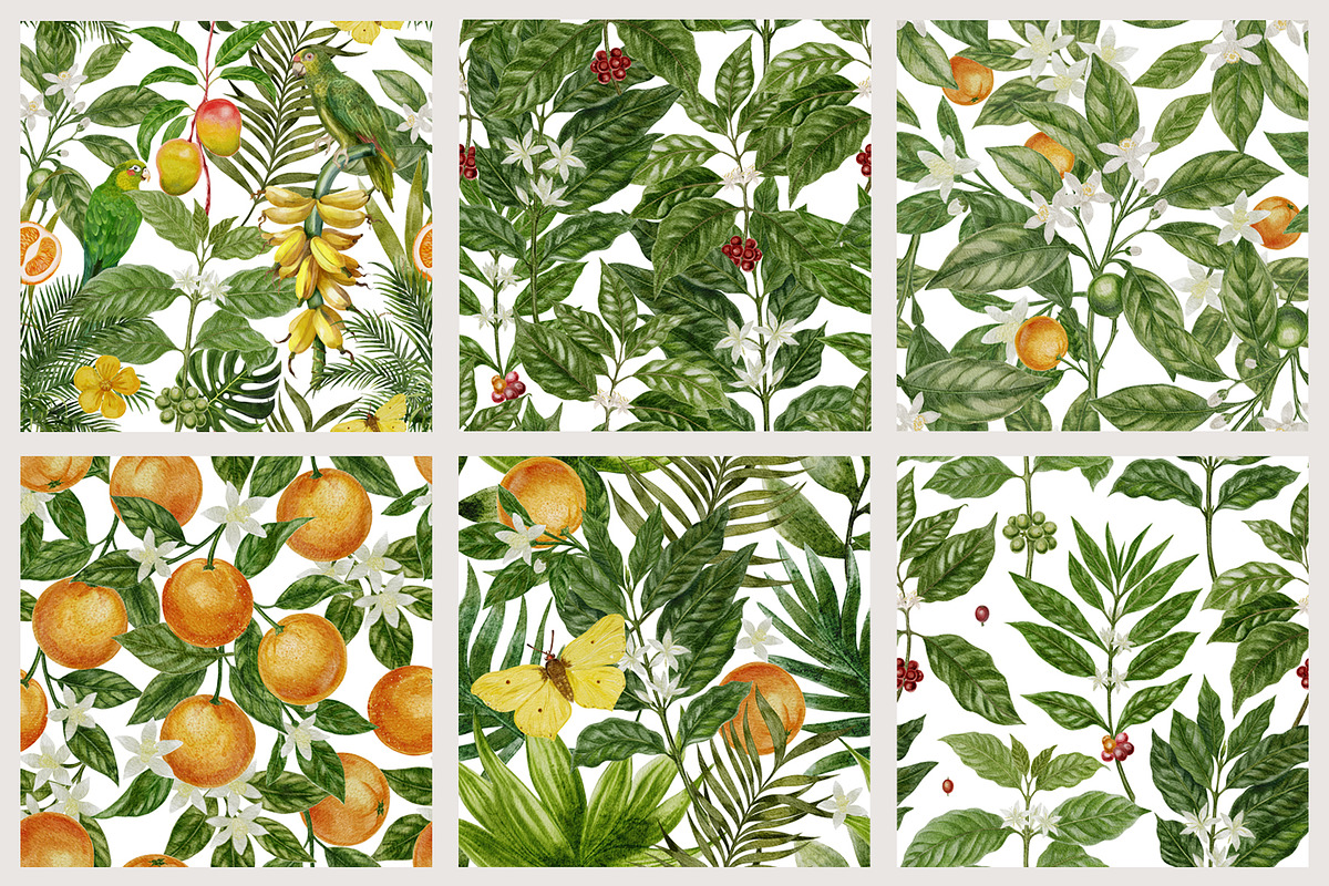 Tropical Botanical Seamless Pattern, a Pattern Graphic by mila_leev (Photo 7 of 8)