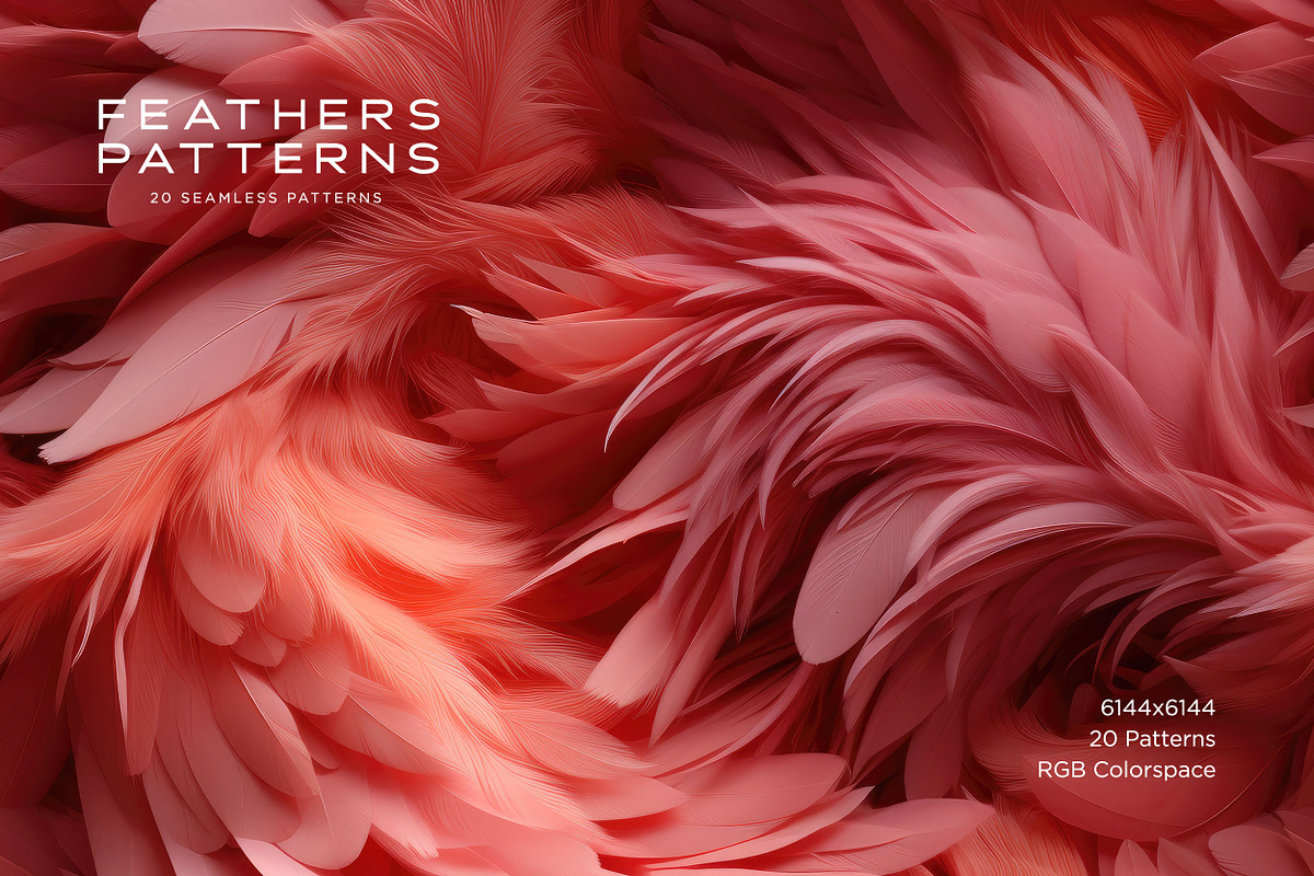 Feather Patterns: Seamless Patterns, a Pattern Graphic by RuleByArt (Photo 14 of 15)