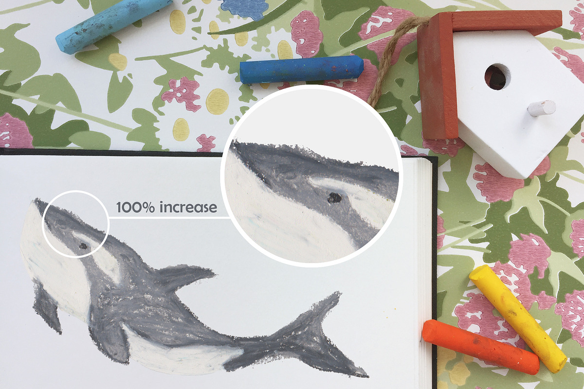 Oil Pastel Set | Children's Dreams, an Animal Illustration by Elisa Ursa (Photo 5 of 8)