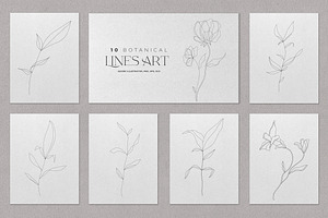 Minimalist Botanical Line Sketches