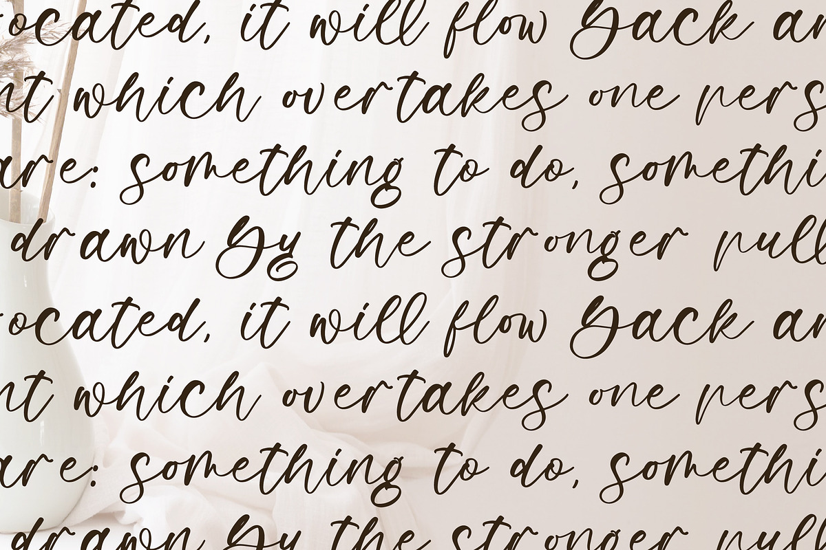 Moltaris Rabbit, a Script Font by Integritype Studio (Photo 11 of 15)