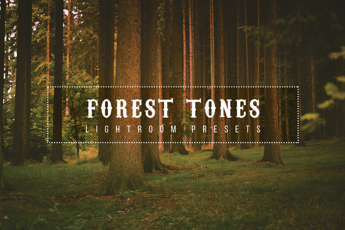 Forest Tone Lightroom Presets