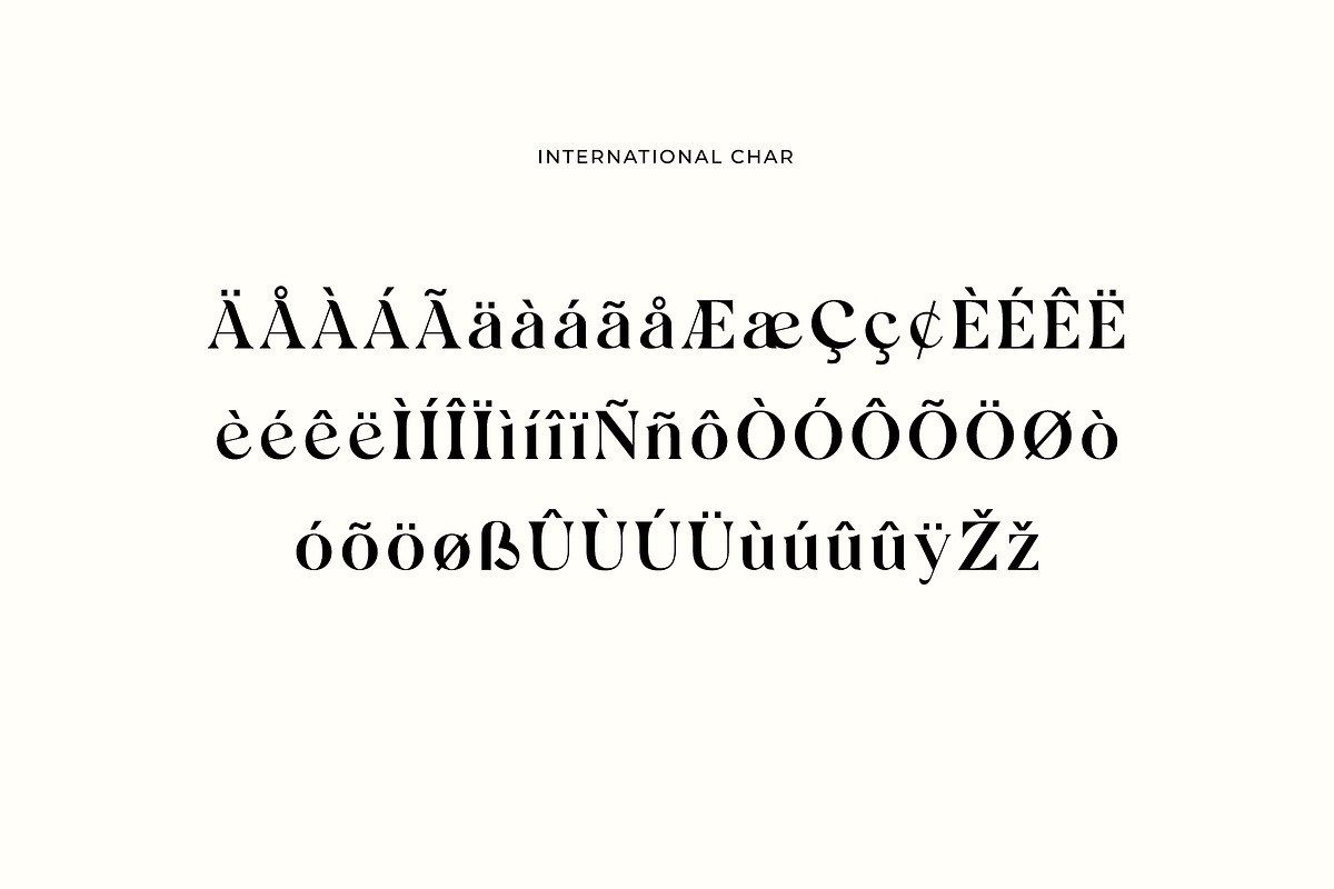 Borniarte Elegant Serif Font, a Serif Font by UICreative (Photo 8 of 13)