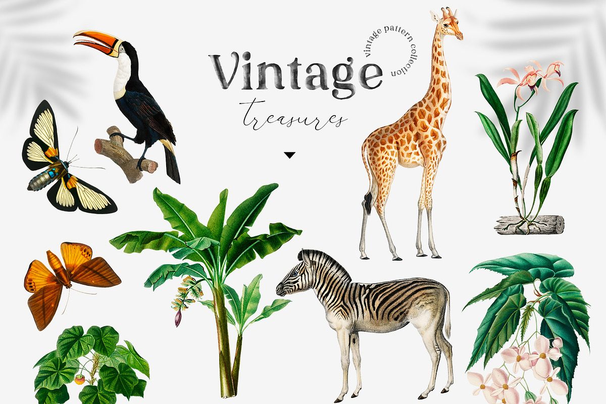 Wild tropic vintage pattern set, a Pattern Graphic by Beauty Drops