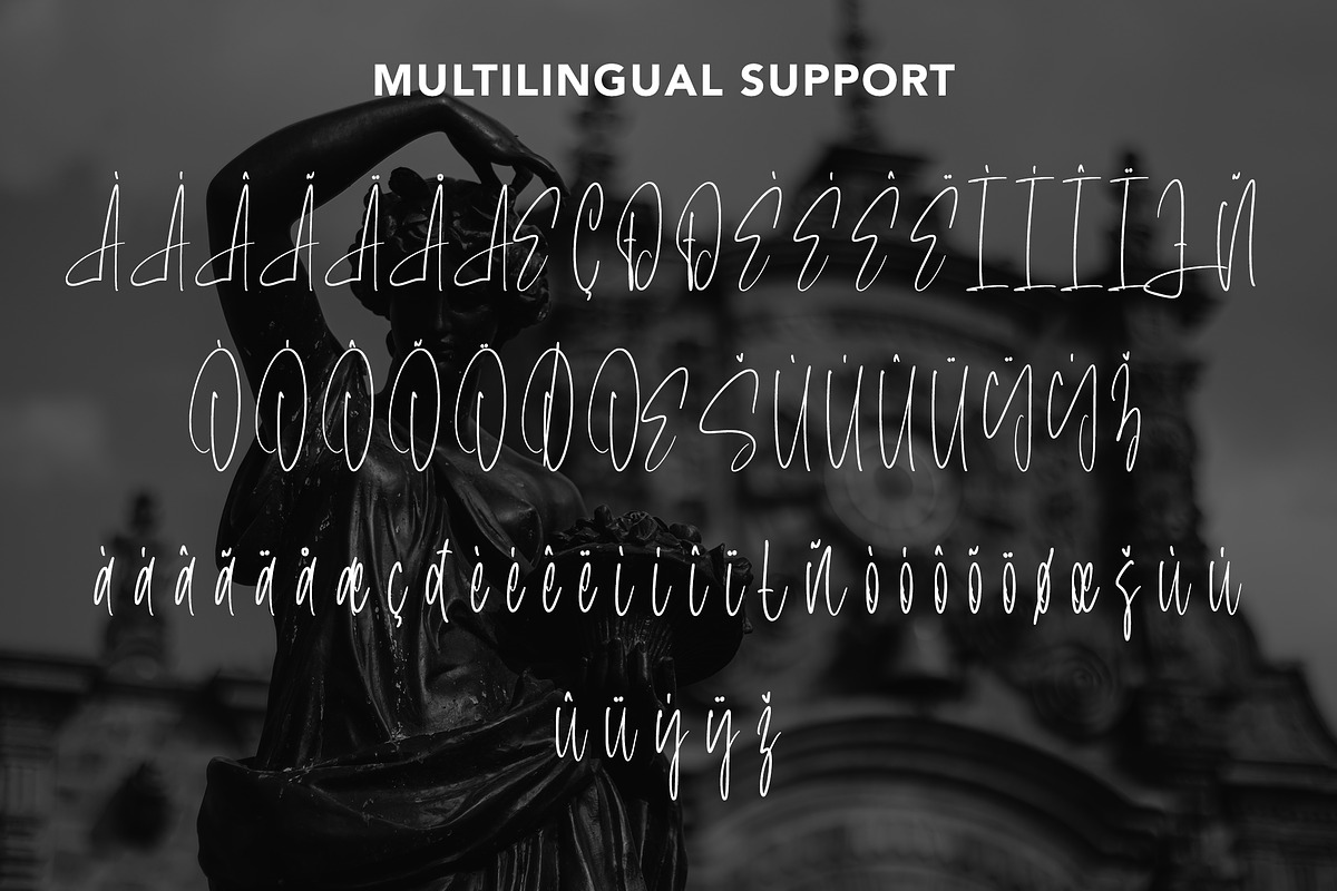 LoyaltyProgram - Calligraphy Font, a Symbol Font by AQR Studio (Photo 3 of 9)