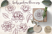 Elegant vintage gardenia flowers png, a Decorative Illustration by Mrs.Swan_Design (Thumbnail 2 of 7)