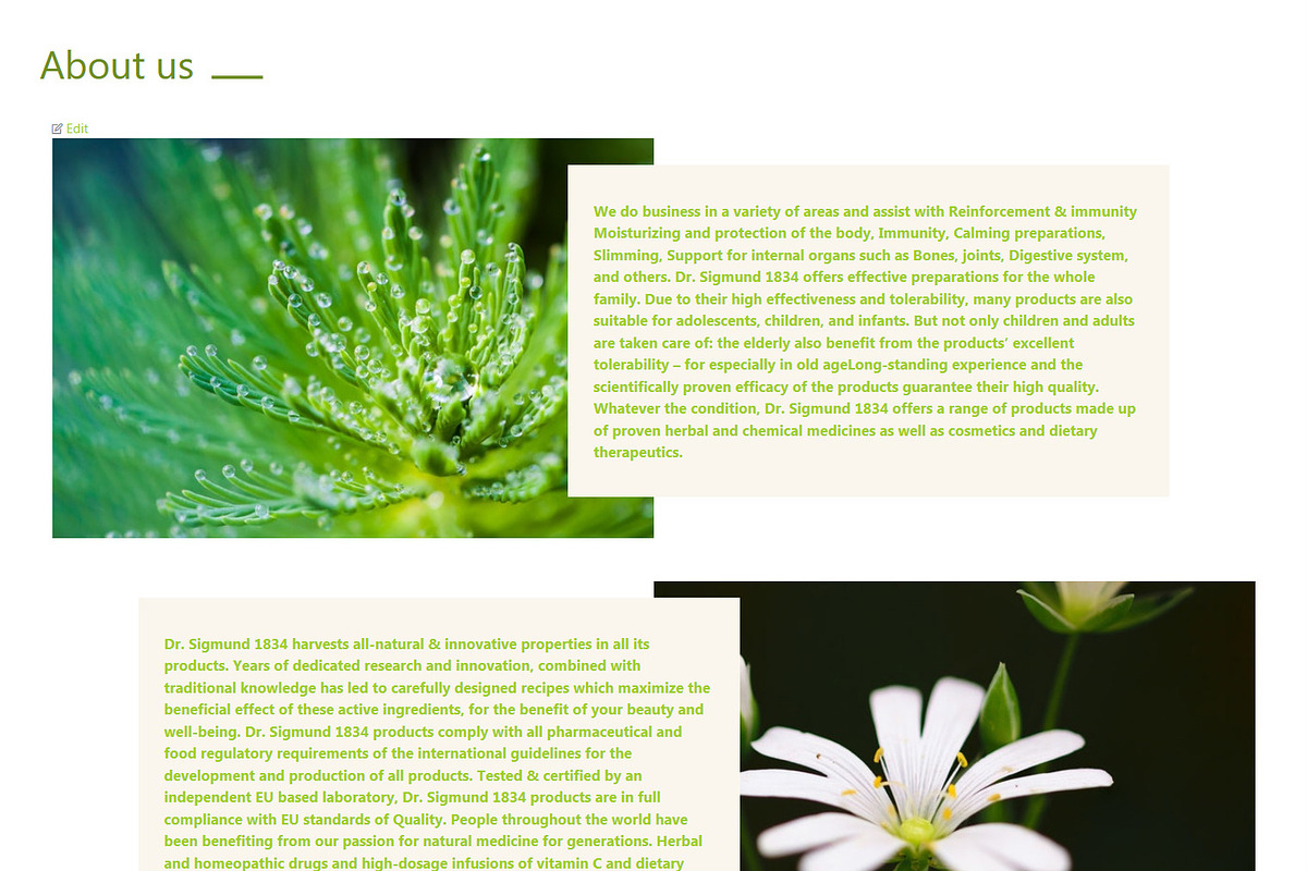 Dr. Sigmund - Wordpress Theme, a WordPress Template by inSTUDIO43 (Photo 2 of 6)
