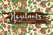 Hazelnuts Watercolors Illustration, an Illustration by andypray (Thumbnail 3 of 5)