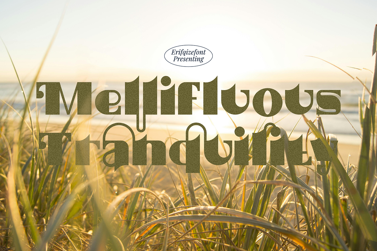 Luminescent Elegance Font, a Sans Serif Font by Erifqizefont (Photo 4 of 21)