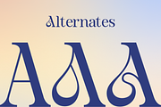 Alurane Elegant Display Serif Font, a Serif Font by Rasio Studio (Thumbnail 4 of 10)