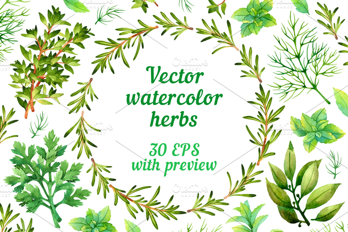 Herbal set, a Food Illustration by Evgeniia Zagreeva (Photo 1 of 2)