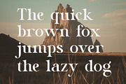 Zanela, a Serif Font by Muflieart (Thumbnail 7 of 7)