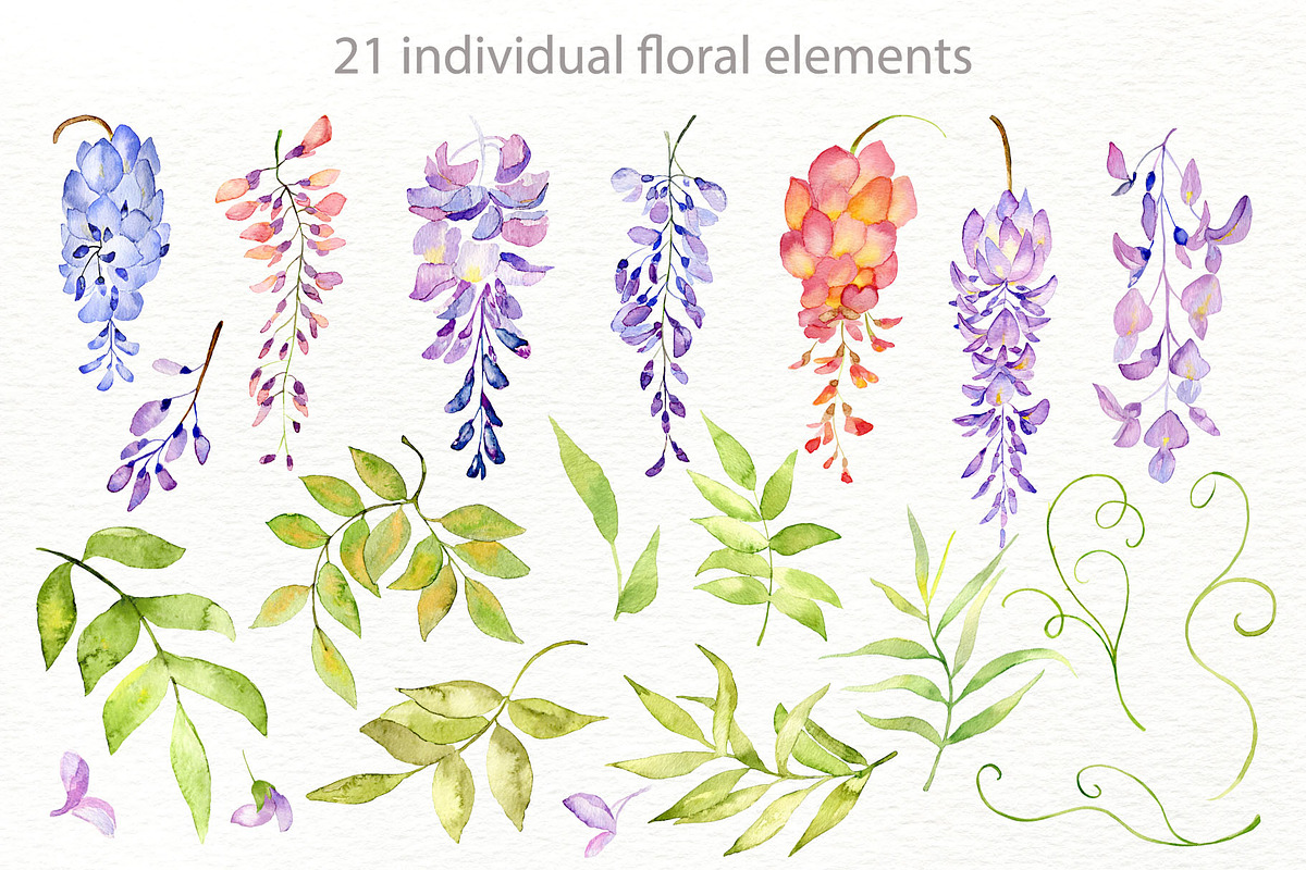 Wisteria lane, a Decorative Illustration by ViсkyArtDesign (Photo 6 of 9)