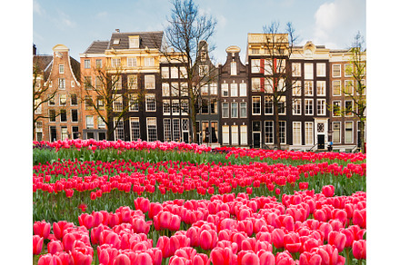 Houses of Amstardam, Netherlands, an Architecture Photo by Neirfy