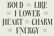 Royale Ambers Editorial Serif, a Serif Font by timelesstype.co (Thumbnail 8 of 10)