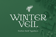 Winter Veil - Festive Typeface, a Serif Font by HipFonts (Thumbnail 2 of 11)