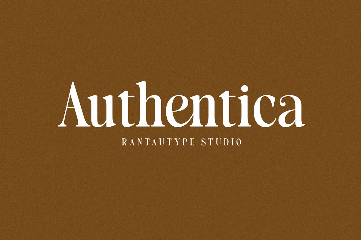 Blenisa Modern Beautiful Font, a Serif Font by RantautypeStudio (Photo 5 of 17)