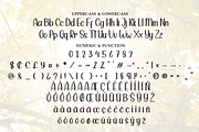 Sunlight | Script Font, a Handwritten Font by Scratchones (Thumbnail 7 of 8)