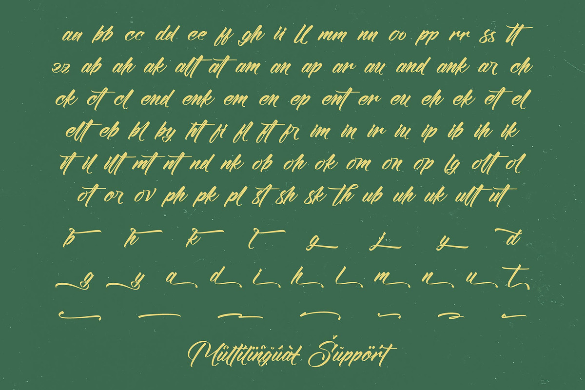 Amigdal Bold Calligraphy Font, a Script Font by stylishtype.co (Photo 19 of 20)