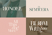 Monsieur Aegis - Modern Luxury Serif, a Serif Font by Qweera Studio (Thumbnail 3 of 12)