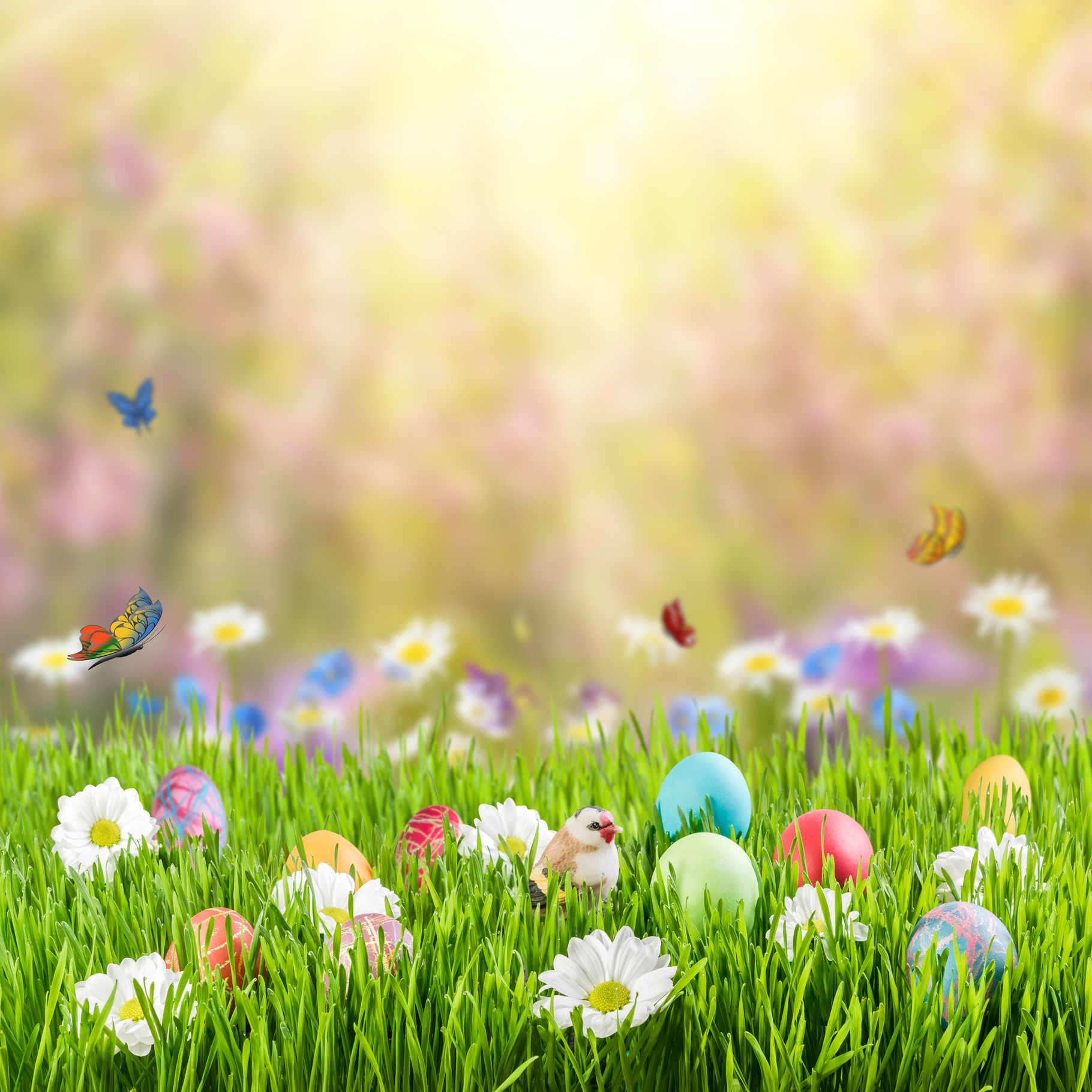 Easter background 009 stock photo containing april and backdrop, a ...